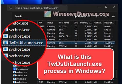 twdsuilaunch|TwDsUiLaunch.exe Processo Windows